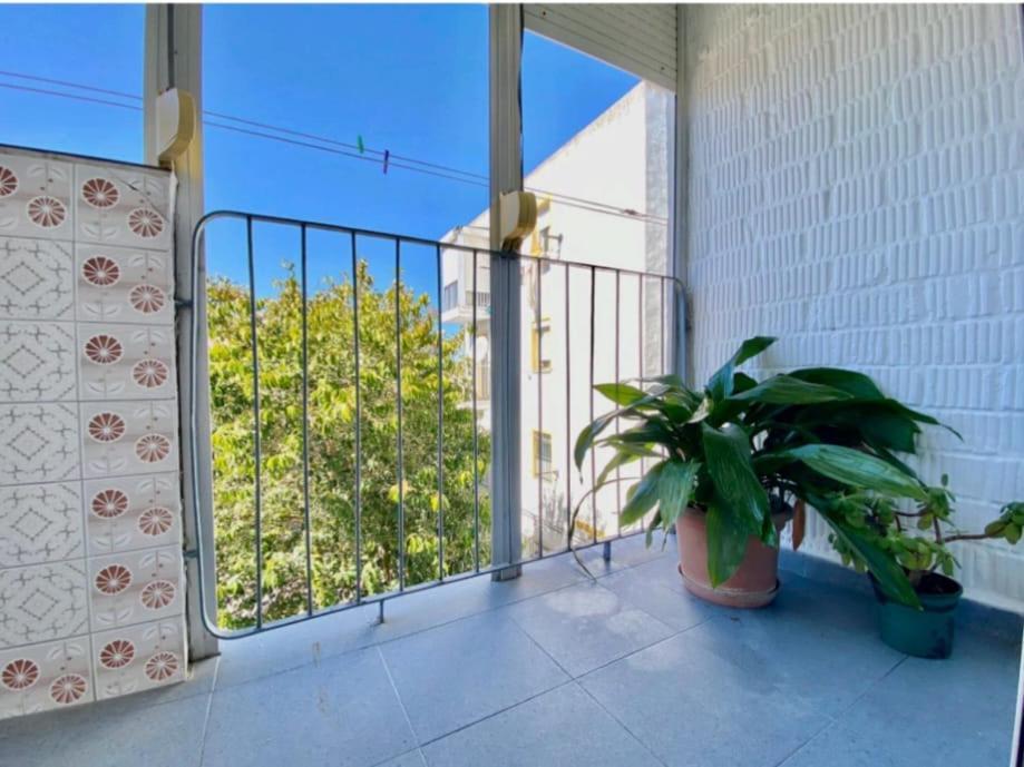 Solea Apartment Jerez de la Frontera Ngoại thất bức ảnh